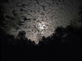 Enlarge photo 51