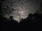 Enlarge photo 48