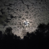 Enlarge photo 61