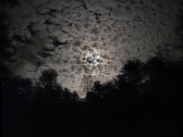 Enlarge photo 49