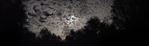 Enlarge photo 50