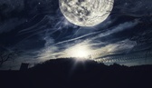 Enlarge photo 121