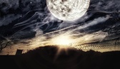 Enlarge photo 122