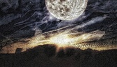 Enlarge photo 130
