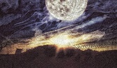 Enlarge photo 127
