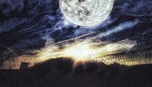 Enlarge photo 129