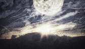 Enlarge photo 125