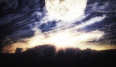 Enlarge photo 128