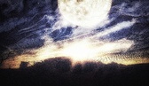 Enlarge photo 126