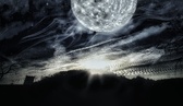 Enlarge photo 124