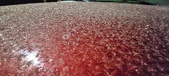Enlarge photo 115