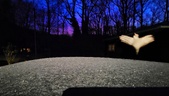 Enlarge photo 158