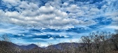 Enlarge photo 169