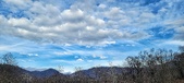 Enlarge photo 168