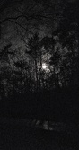 Enlarge photo 178
