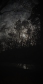 Enlarge photo 179