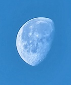 Enlarge photo 203