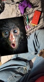 Enlarge photo 210