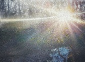 Enlarge photo 218