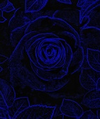 Enlarge photo 229