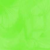 Enlarge photo 244