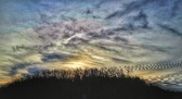 Enlarge photo 251