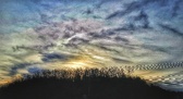 Enlarge photo 252