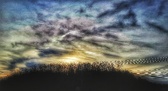 Enlarge photo 253