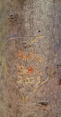 Enlarge photo 261