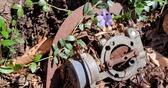 Enlarge photo 270
