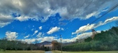 Enlarge photo 59