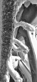 Enlarge photo 55