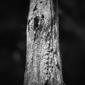 Enlarge photo 66