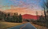 Enlarge photo 116