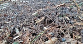 Enlarge photo 118