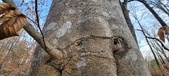 Enlarge photo 166