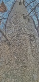 Enlarge photo 126