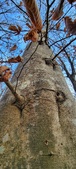Enlarge photo 127