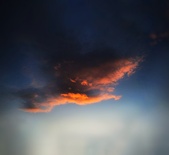 Enlarge photo 129