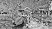 Enlarge photo 137