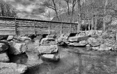 Enlarge photo 141