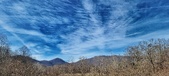 Enlarge photo 151