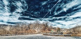 Enlarge photo 155