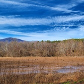 Enlarge photo 161