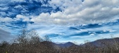 Enlarge photo 170