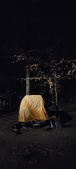 Enlarge photo 177