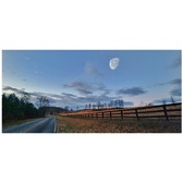 Enlarge photo 208