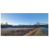 Enlarge photo 195
