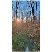 Enlarge photo 197