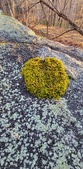 Enlarge photo 199